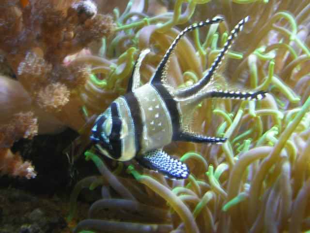 Stockholm - aquarium