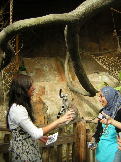 Stockholm - Rani and Zareen get close up!
