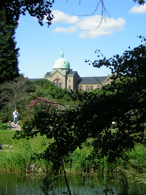Copenhagen - botanical gardens