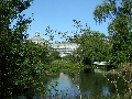 Copenhagen - botanical gardens